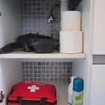 Partara Ainsa